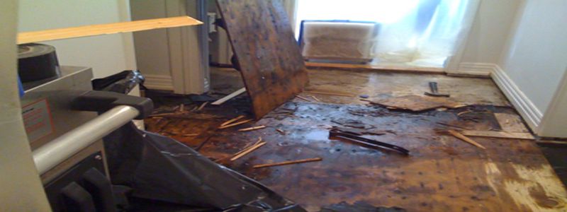 denverwaterdamagerepairsremoval