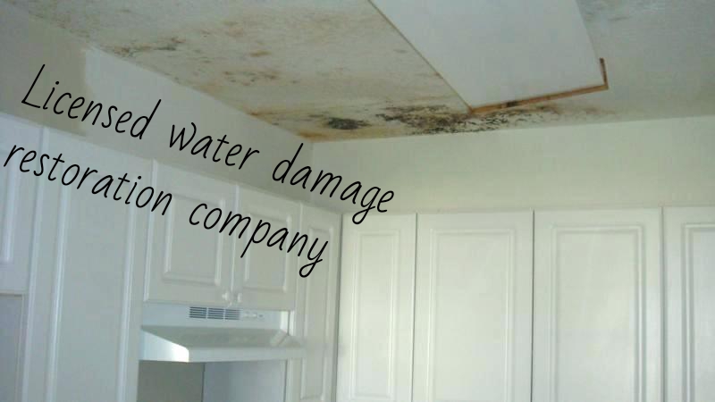 Licensed water damage restoration company