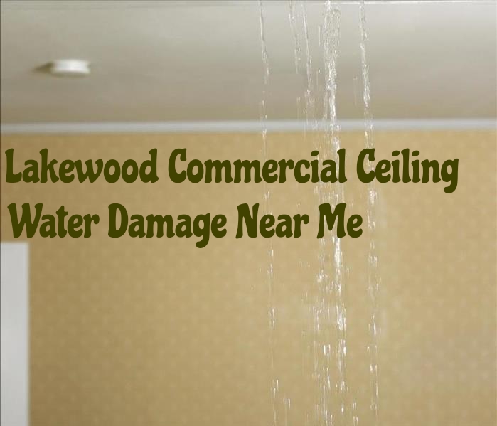 Lakewood Commercial Ceiling Water Damage Near Me