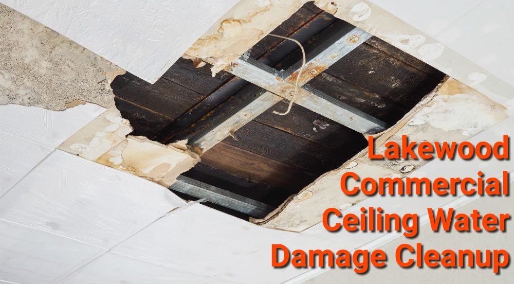 Lakewood Commercial Ceiling Water Damage Cleanup