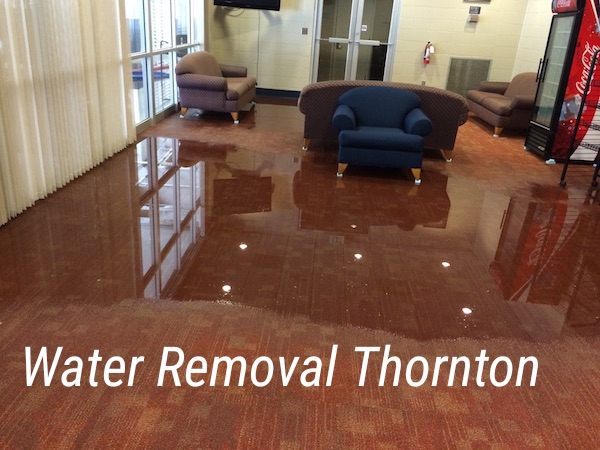 Water Removal Thornton