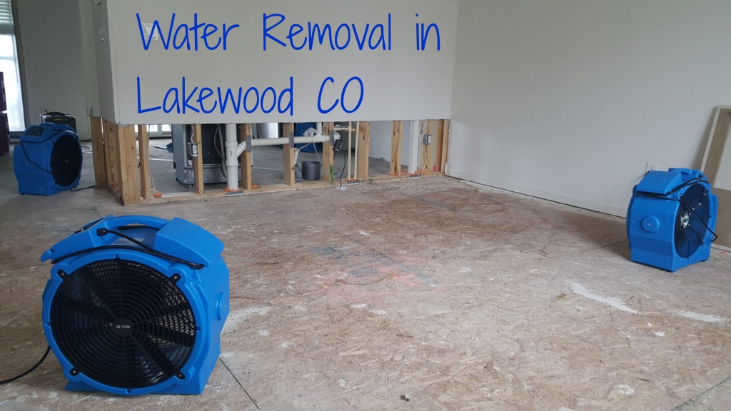 Water Removal in Lakewood CO