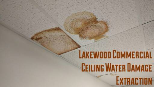 Lakewood Commercial Ceiling Water Damage Extraction