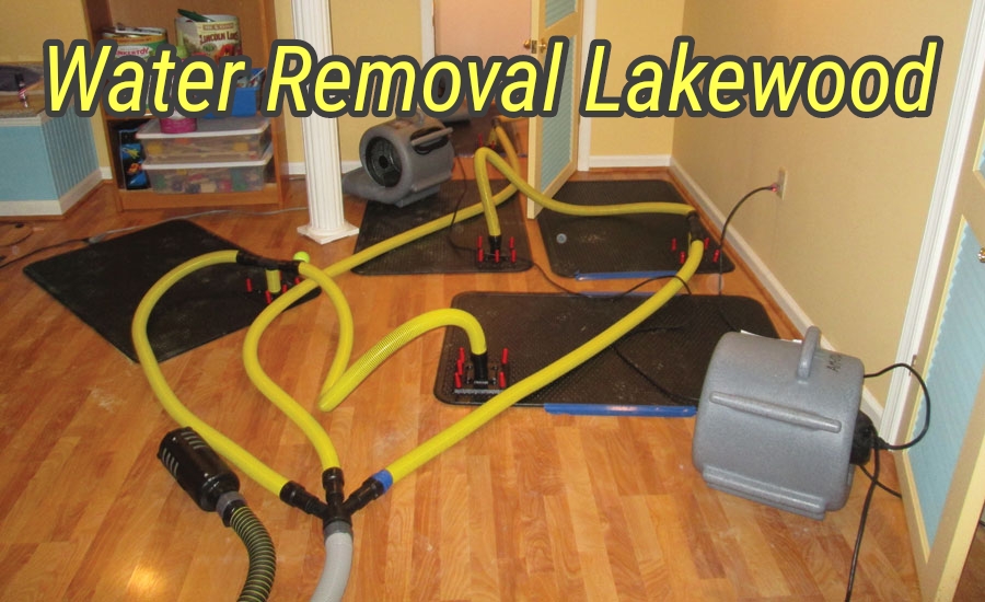 Water Removal Lakewood