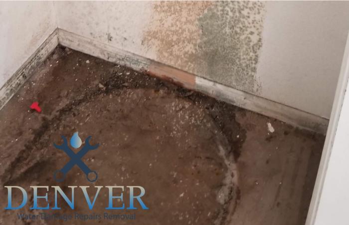 denver water damage repairs removal restoration company