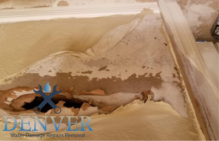 denver water damage repairs removal restoration company