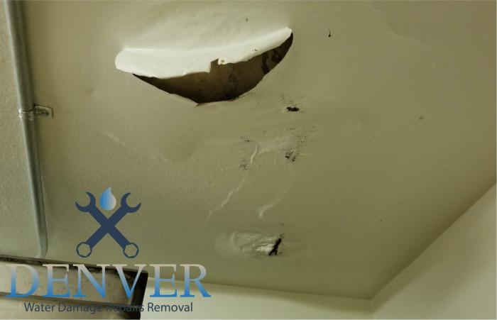 denver water damage repairs removal restoration company