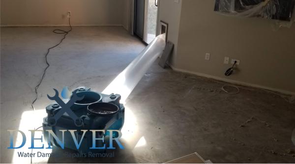 denver water damage repairs removal restoration company