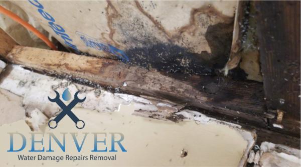 emergency water damage restoration company denver colorado 35