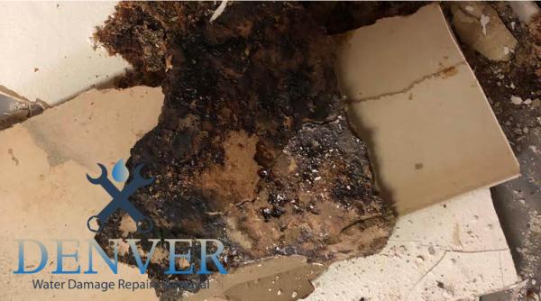 emergency water damage restoration company denver colorado 37