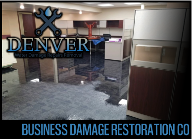 Business Damage Restoration Company 2