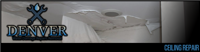 ceiling repair 1