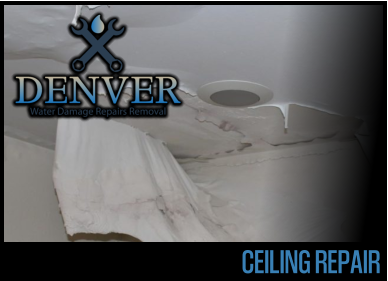 ceiling repair 2