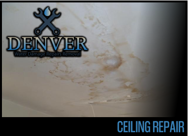 ceiling repair 3