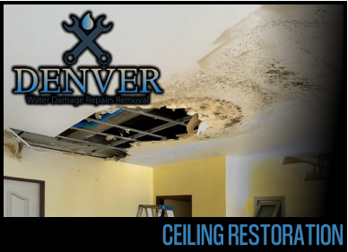 ceiling restoration 2