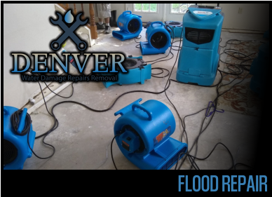 flood repair 2