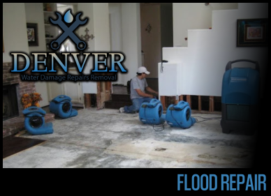 flood repair 3