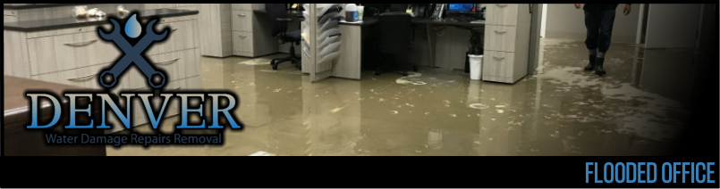 flooded office 1