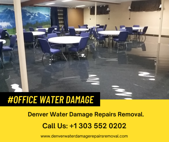 What company is best for Office Water Damage in Denver