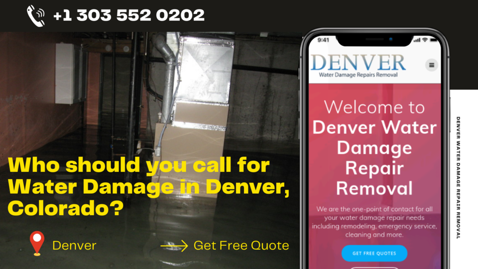 Who should you call for Water Damage in Denver